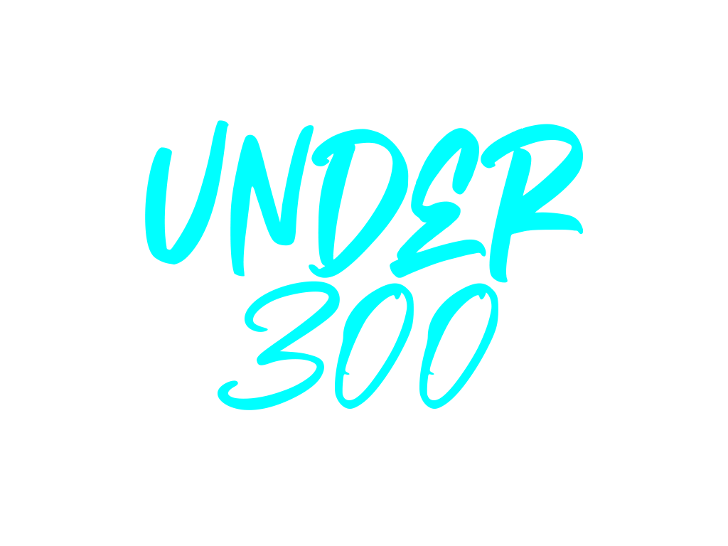 UNDER 300